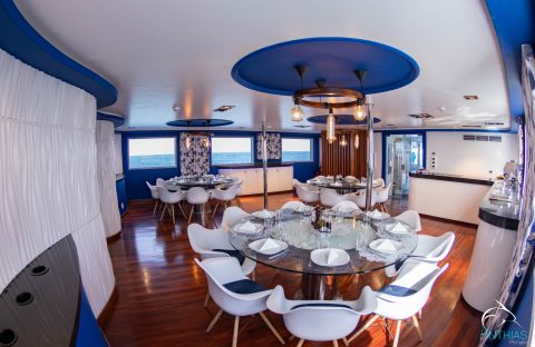 restaurant-1_53642317816_o