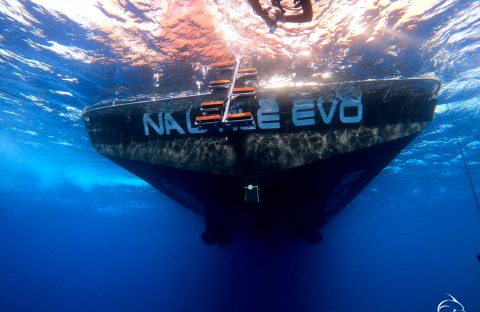 underwater-2_53642537188_o